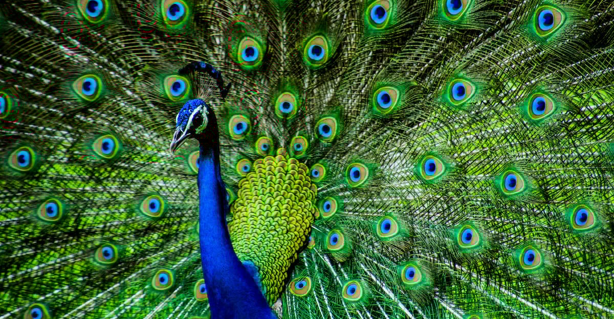 7 Tips for Differentiating in the Selling Process